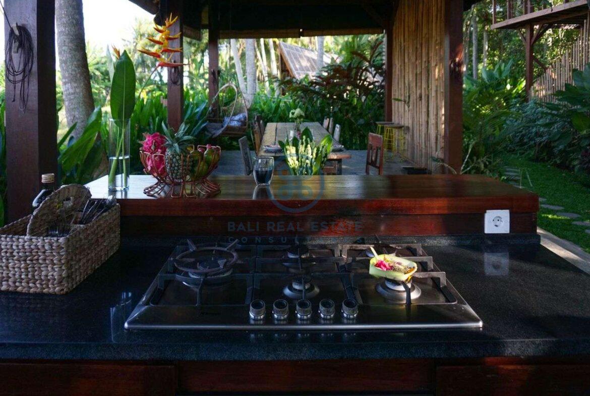 3 bedrooms villa retreat ricefield view kedungu for sale rent 6