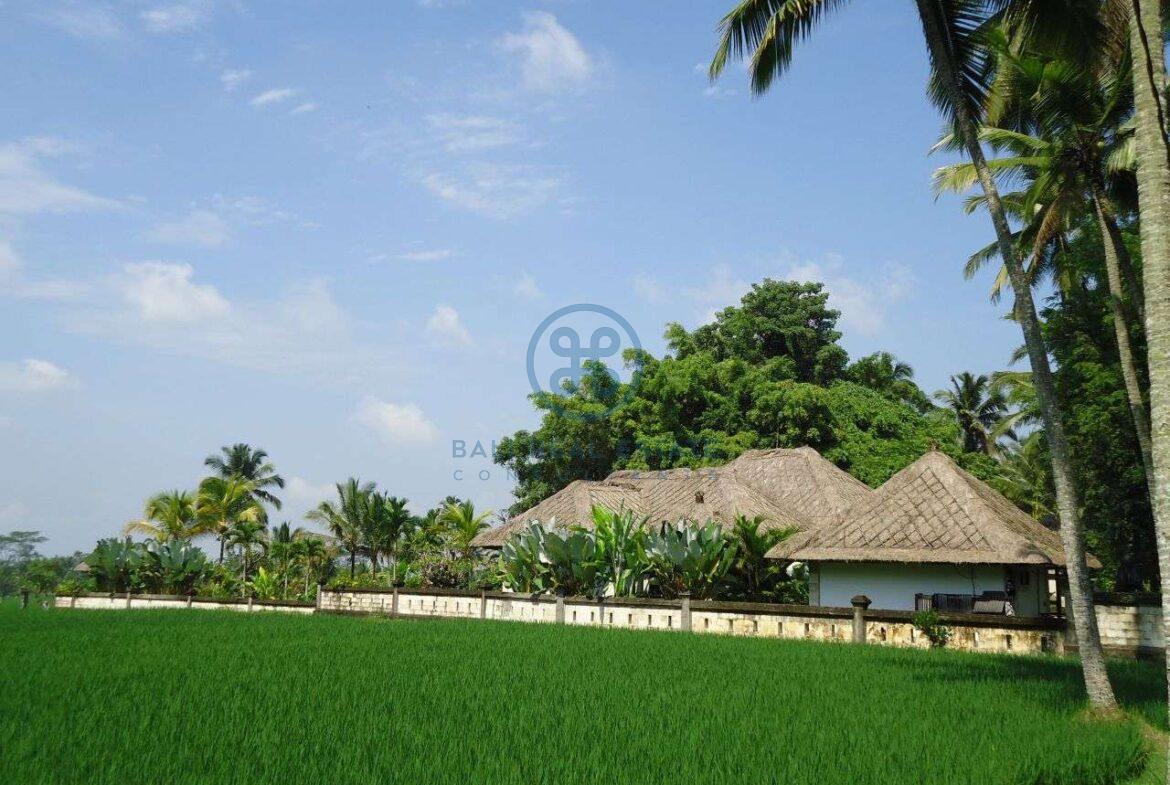 4 bedrooms villa with infinity pool ubud for sale rent 2