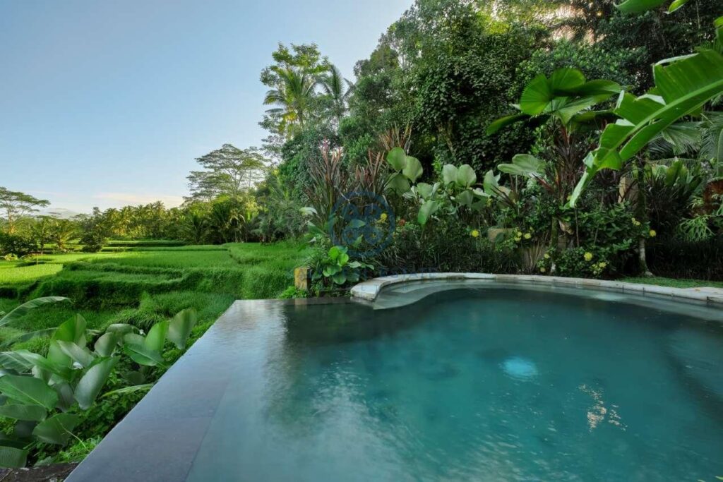 7 bedrooms villa estate jungle valley view ubud for sale rent 31