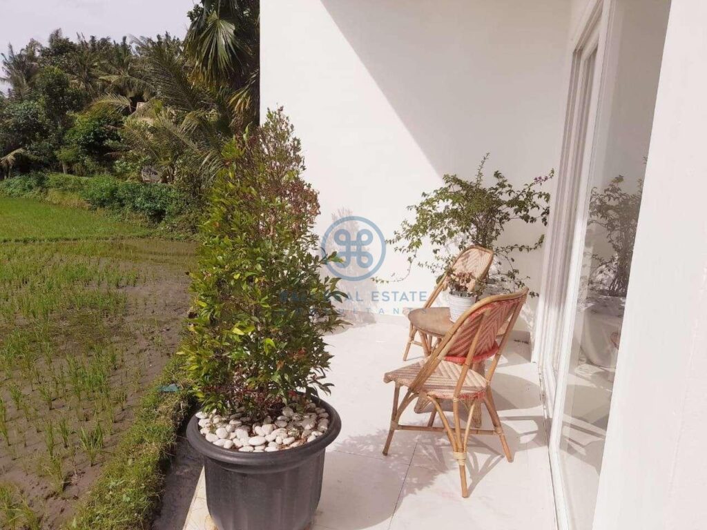 stylist 3 bedrooms villa ricefield view ubud for sale rent 10