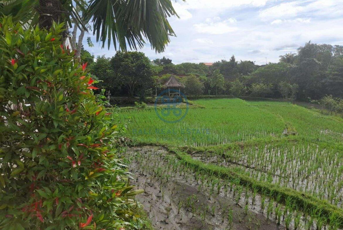 stylist 3 bedrooms villa ricefield view ubud for sale rent 18