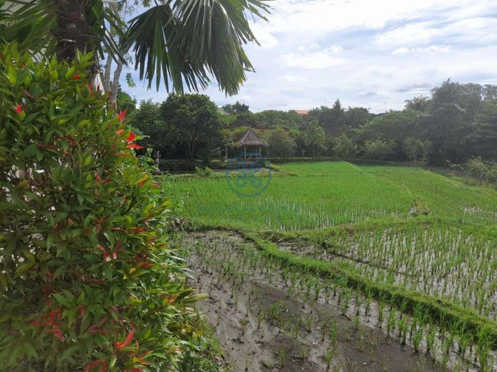 stylist 3 bedrooms villa ricefield view ubud for sale rent 18