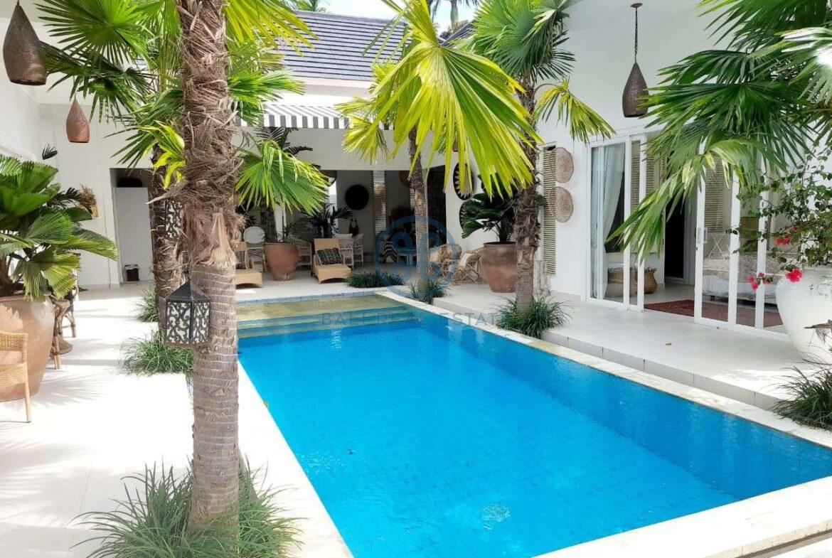 stylist 3 bedrooms villa ricefield view ubud for sale rent 3