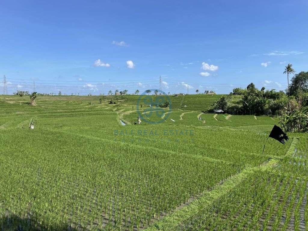bedroom rice field view loft villa near canggu for sale rent