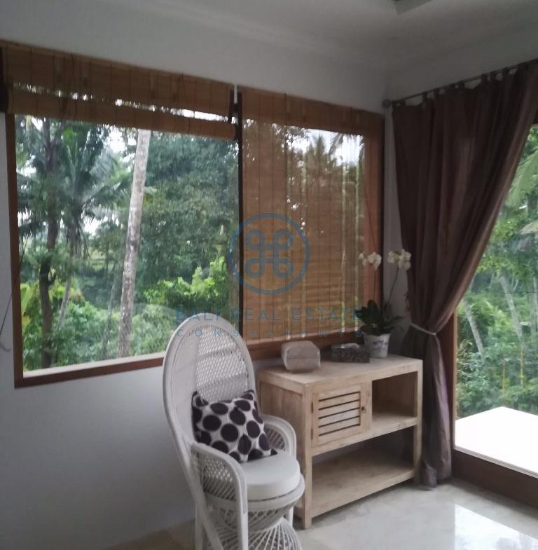 bedroom villa with jungle views for sale and rent
