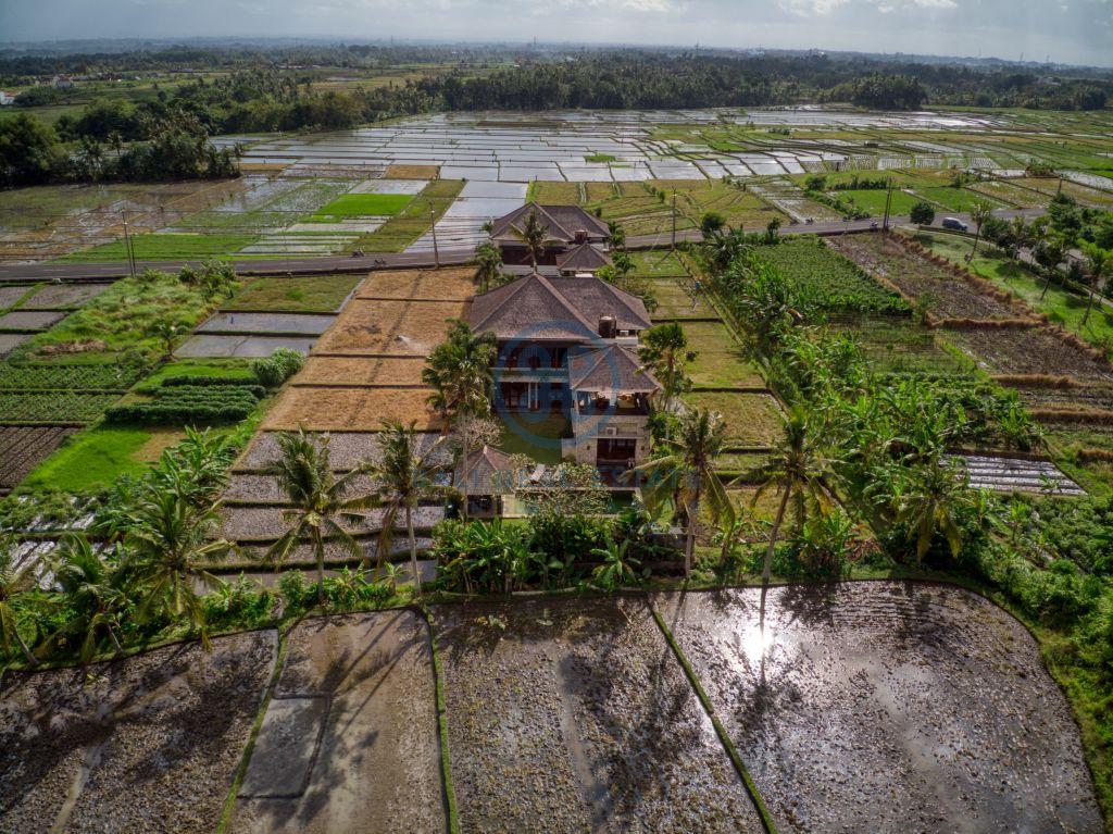 bedrooms villa ricefield view tabanan for sale rent