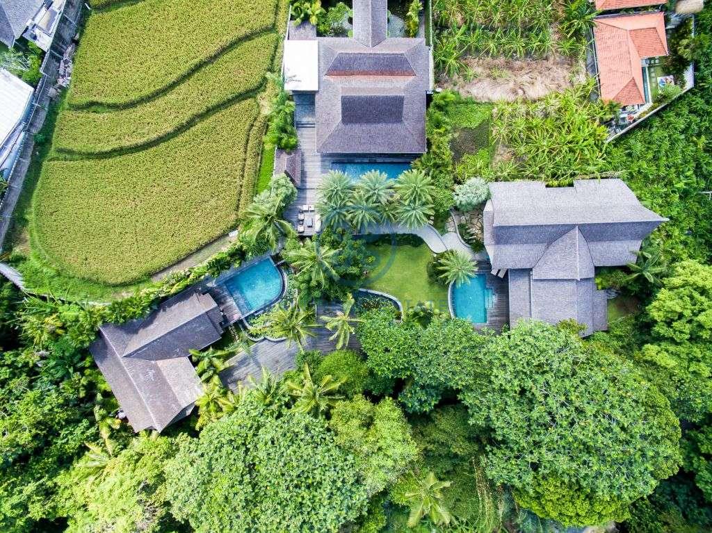 bedrooms luxurious villa in canggu for sale rent