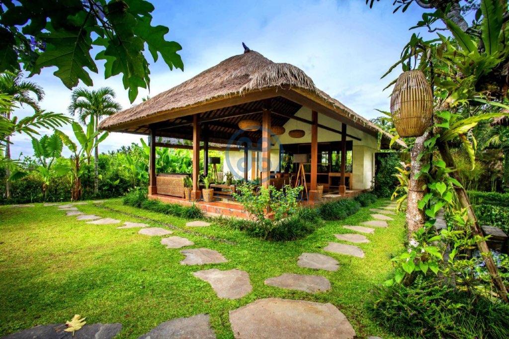 bedroom villa in north ubud for sale