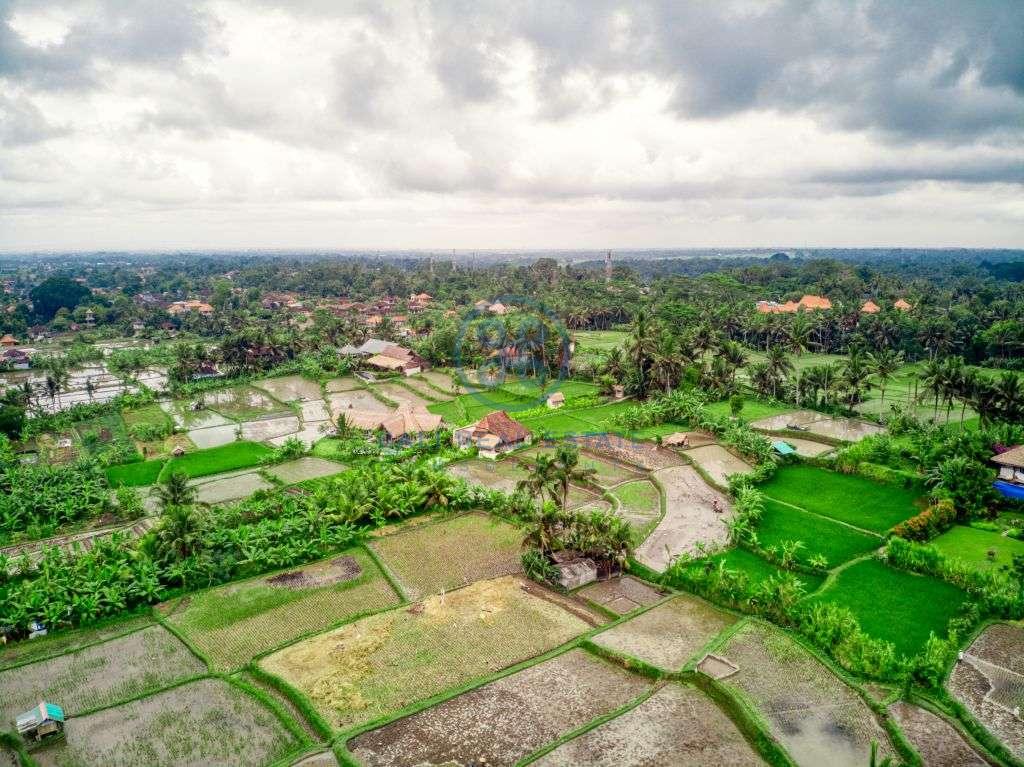 bedrooms villa rice field view ubud for sale rent