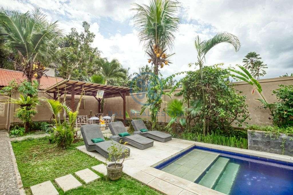 bedrooms villa garden pool view ubud for sale rent