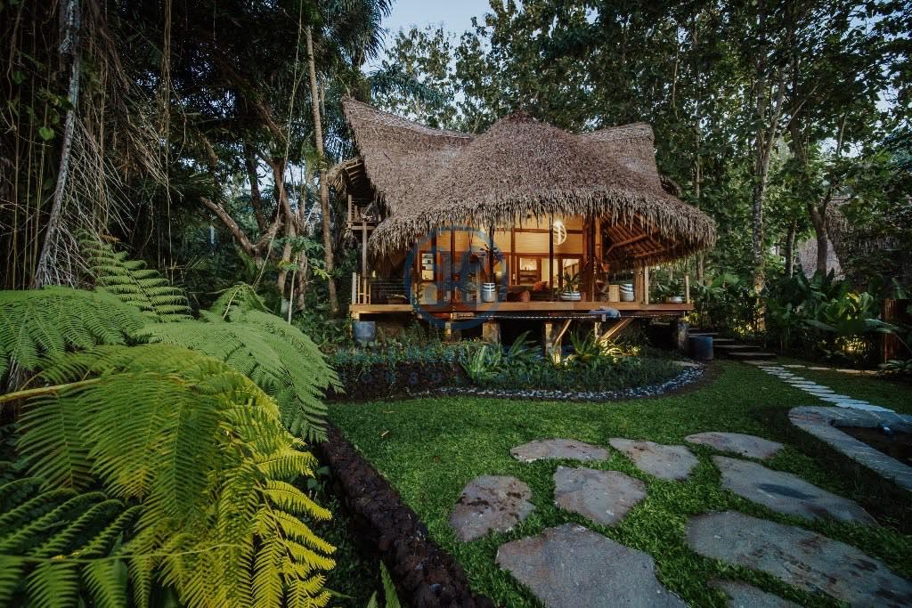 bedroom eco villa in ubud for sale