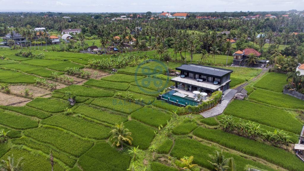bedroom villa rice field jungle view mas ubud for sale rent