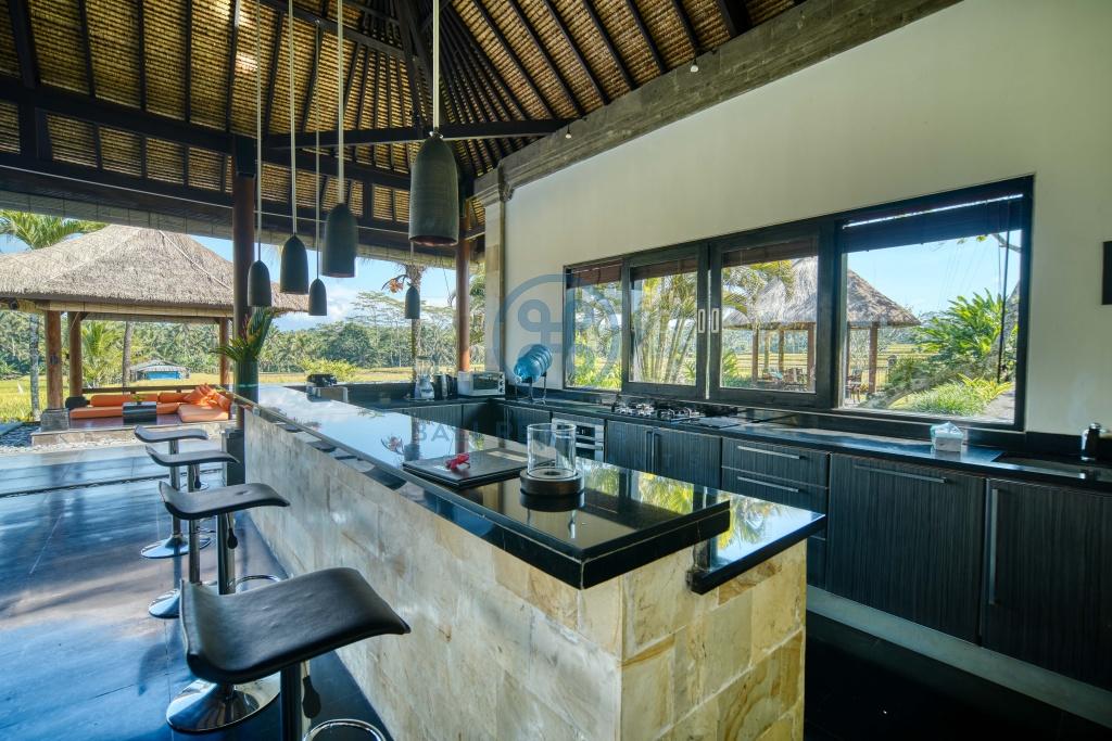 bedroom villa rice field view ubud bali for sale rent