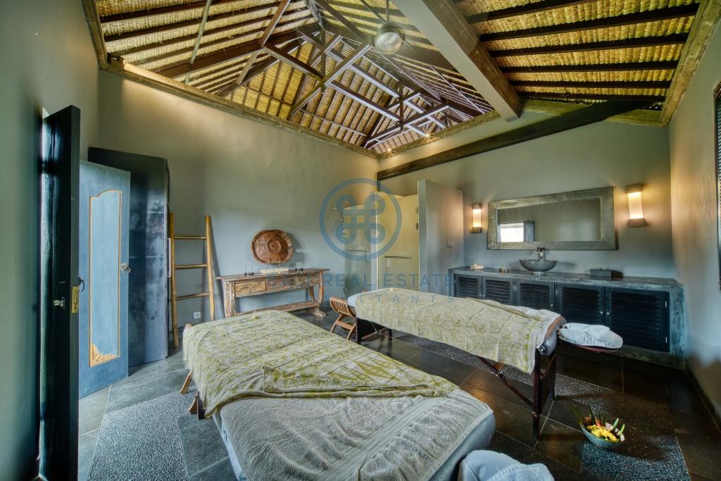 bedroom villa rice field view ubud bali for sale rent