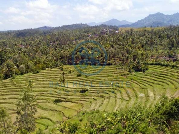 are land rice field view negara for sale rent