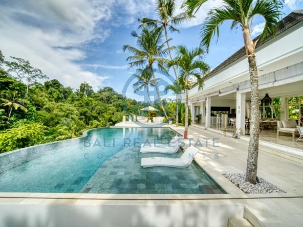 bedroom villa jungle view ubud bali for sale rent