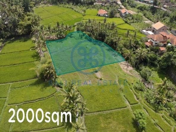 freehold land for sale in ubud