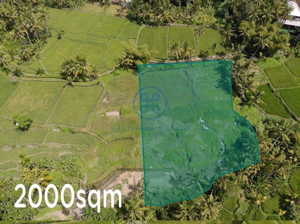 freehold land forsale in ubud