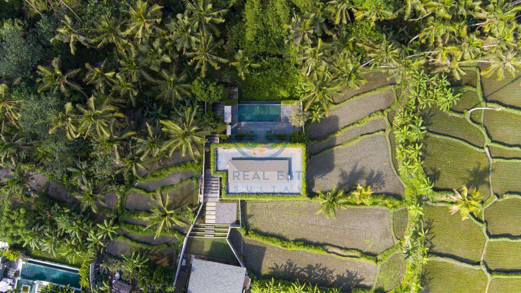 bedroom villa river front jungle view ubud bali for sale rent